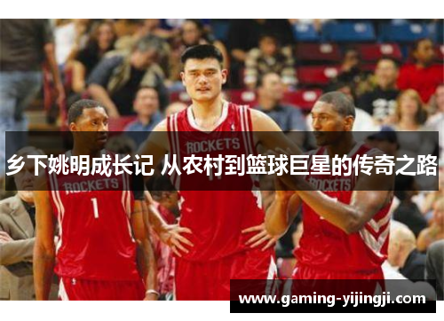 乡下姚明成长记 从农村到篮球巨星的传奇之路
