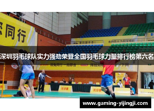 深圳羽毛球队实力强劲荣登全国羽毛球力量排行榜第六名