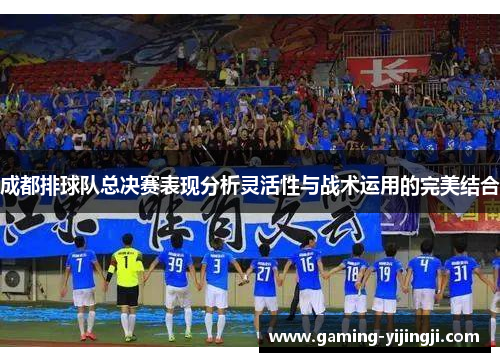 成都排球队总决赛表现分析灵活性与战术运用的完美结合