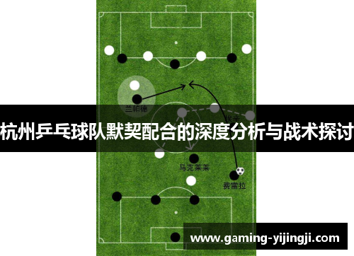 杭州乒乓球队默契配合的深度分析与战术探讨